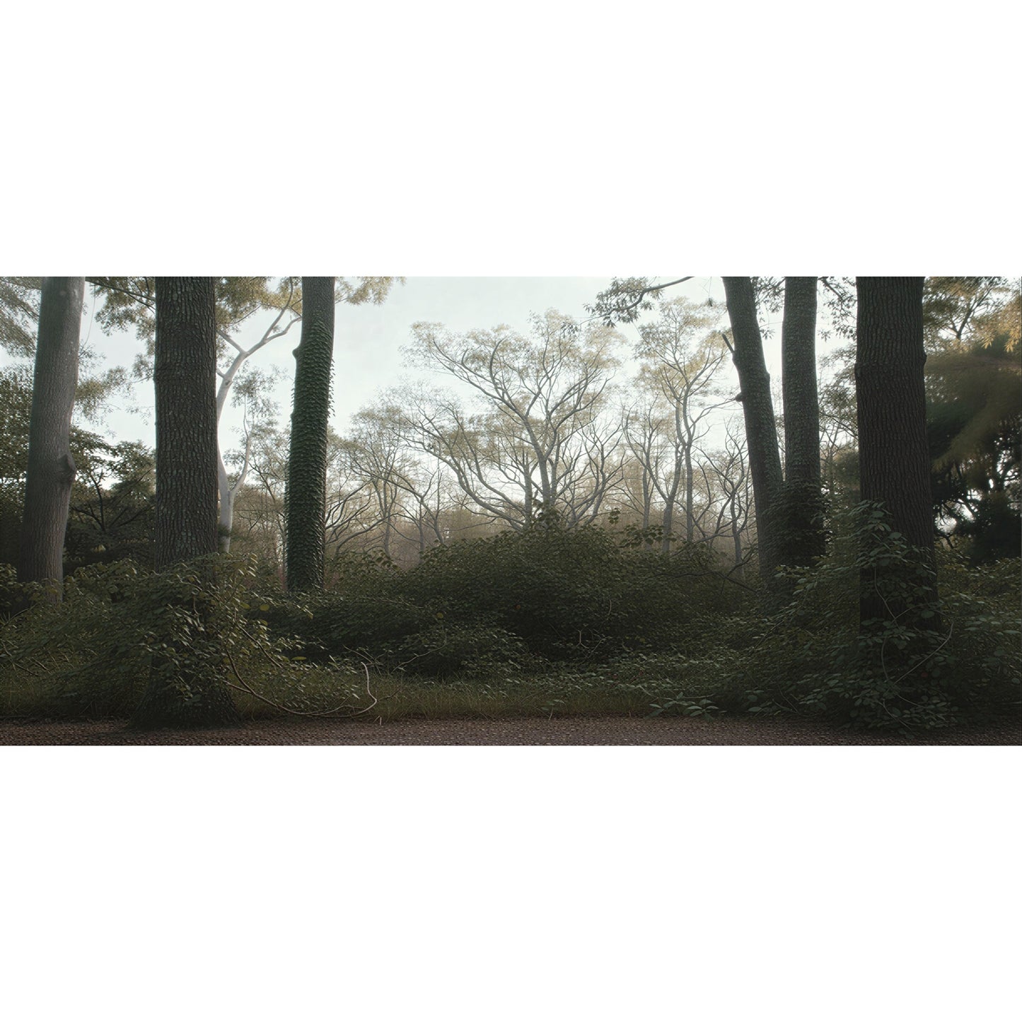 Display case til LEGO® Stranger Things™ The Creel House™ (11370). 