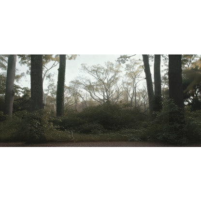 Display case til LEGO® Stranger Things™ The Creel House™ (11370). 