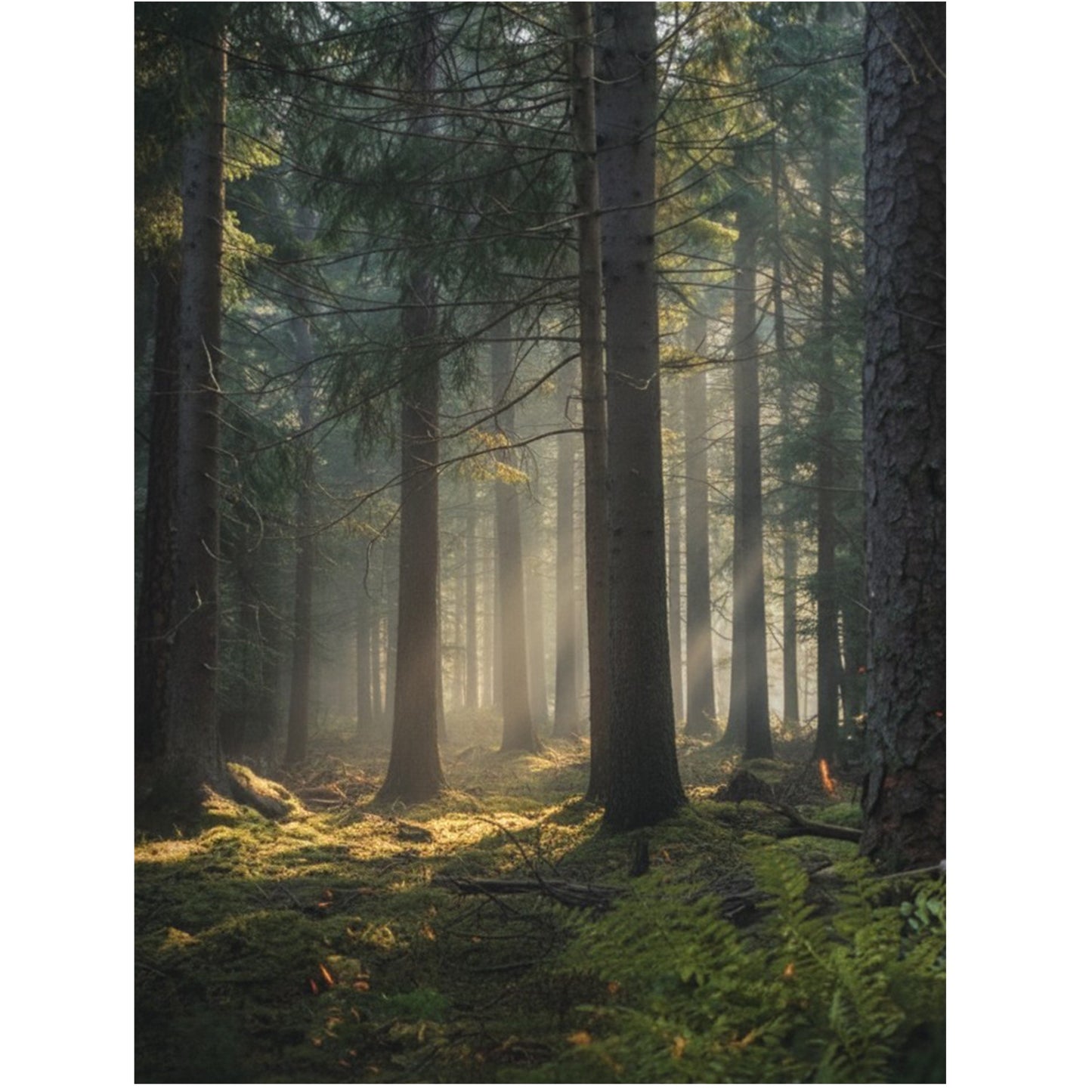 Akryl displaykasse til LEGO® Star Wars™ hjelme – støvfri beskyttelse og elegant udstilling af Darth Vader™, Luke Skywalker™ og andre samlerhjelme.