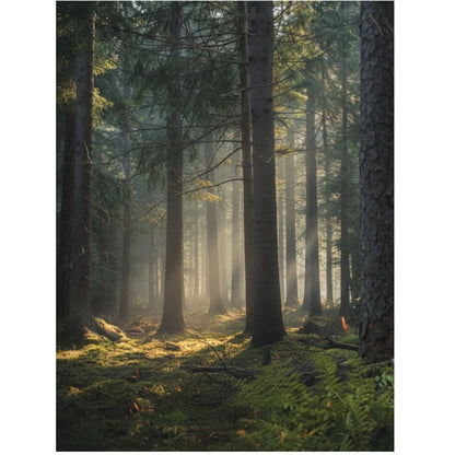 Akryl displaykasse til LEGO® Star Wars™ hjelme – støvfri beskyttelse og elegant udstilling af Darth Vader™, Luke Skywalker™ og andre samlerhjelme.